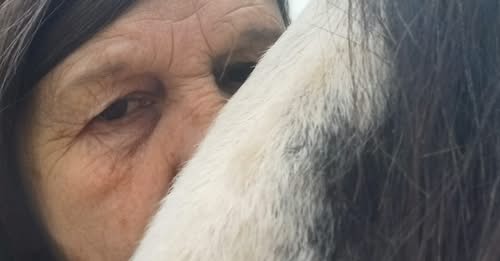 This image show Deise Animal Sanctuary Waterford jpeg file