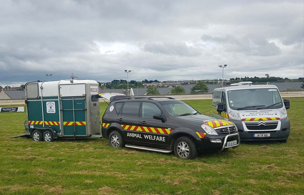 Waterford Animal Welfare j