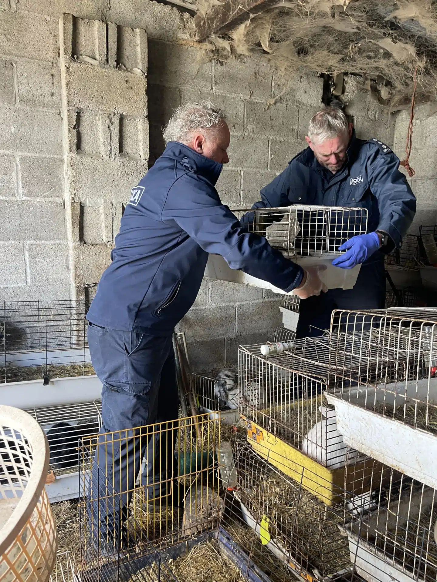 Animal News Ireland - ISPCA Inspectors