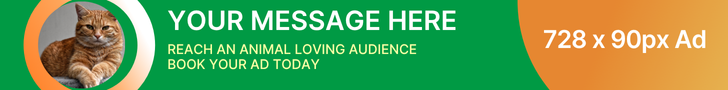 728 x 90 display advert.
