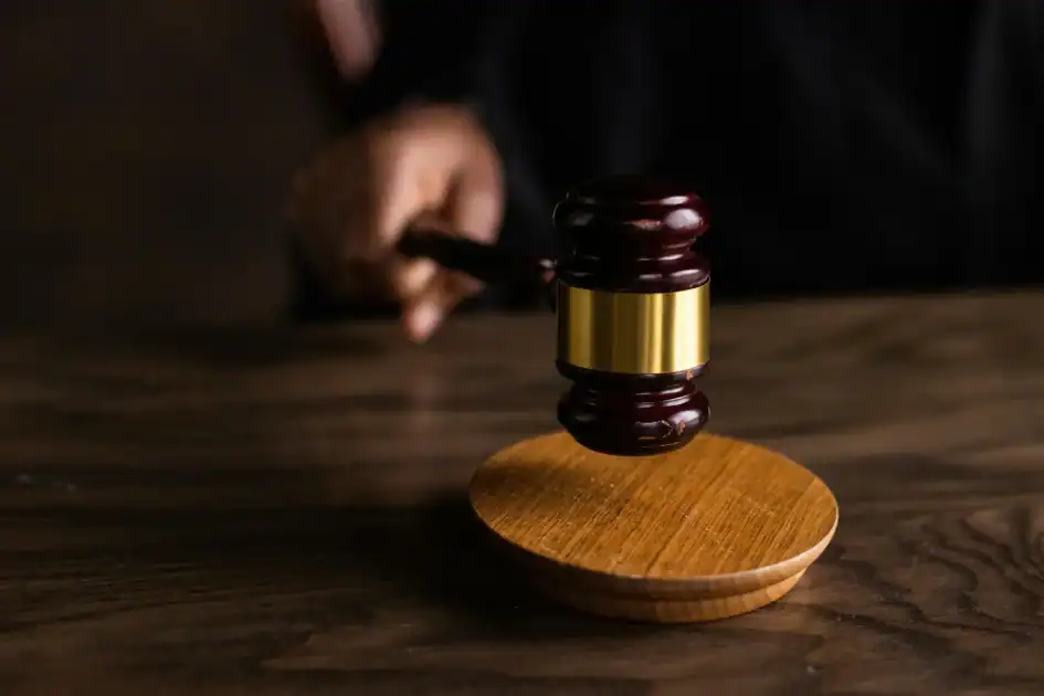 Judge's gravel. Lifetime dog ownership ban.