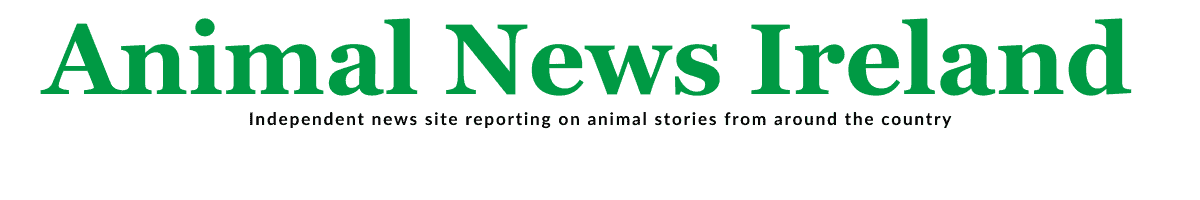 Animal News Ireland Logo 2026.