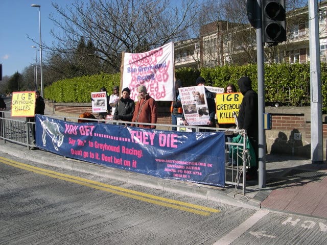 Anti-greyhound racing protest.
