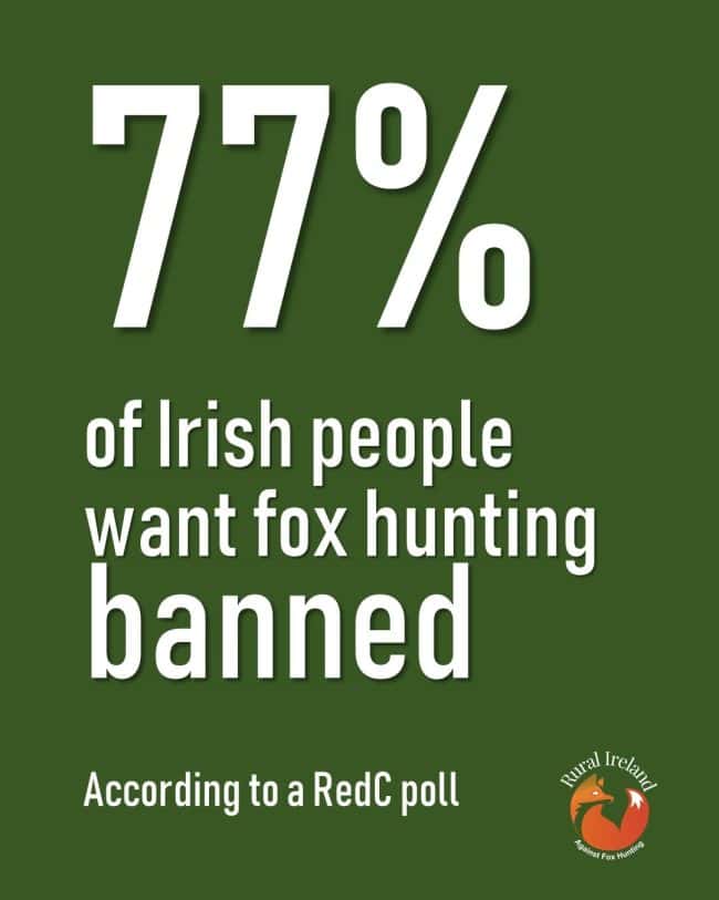 79% of Irish People Want Foxhunting Banned says Opinion Poll.