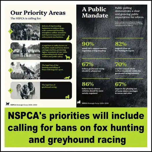 NSPCA Call for Animal Welfare Reform in Ireland.