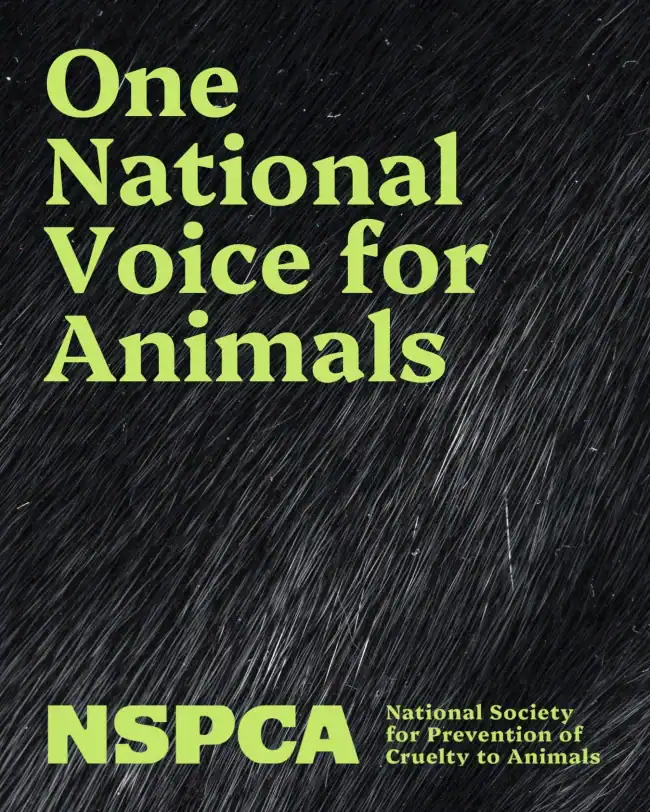 NSPCA One National Voice for Animals Strategic Focus 2026-30 Launched.