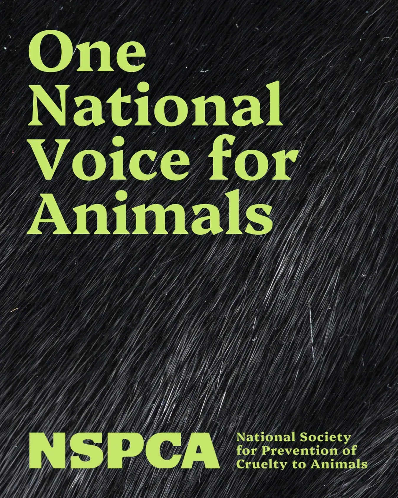 NSPCA One National Voice for Animals Strategic Focus 2026-30 Launched.