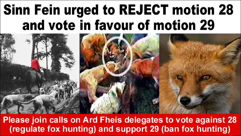 Sinn Féin time to support a ban on foxhunting in Ireland.