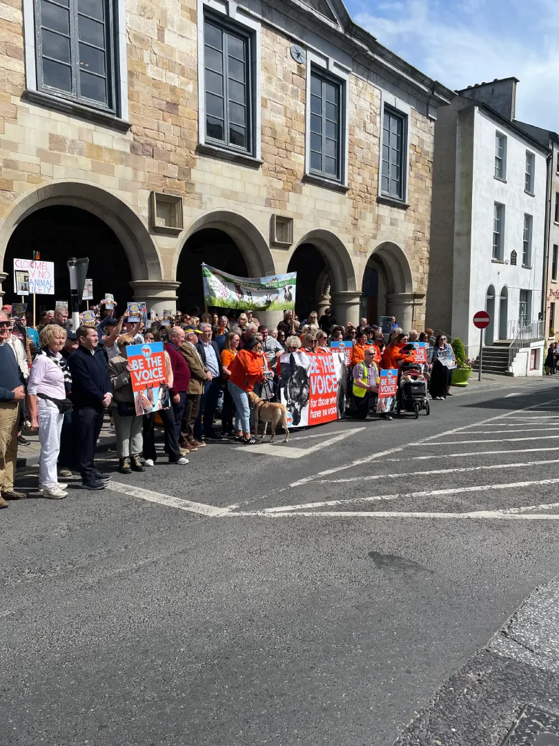 Marchers on the Walk in Solidarity for Animal Welfare and Road Safety,’ , Clonmel, Co. Tipperary - 9th May 2026. Horse welfare.
