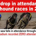 Drop in Greyhound Racing Attendance in Ireland.