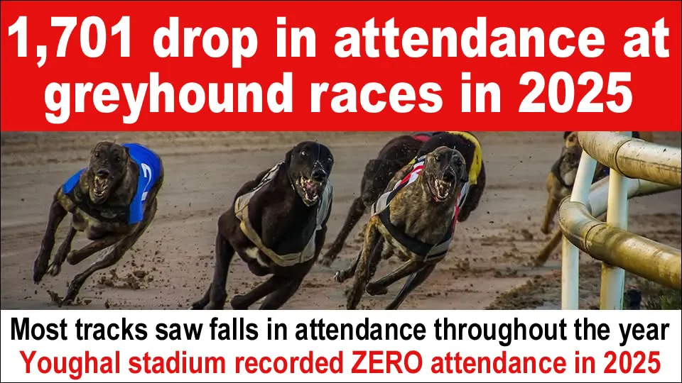 Drop in Greyhound Racing Attendance in Ireland.