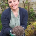 Elaine O’Riordan, School of Natural Sciences and Ryan Institute, University of Galway. Hedgehog sightings in Ireland.