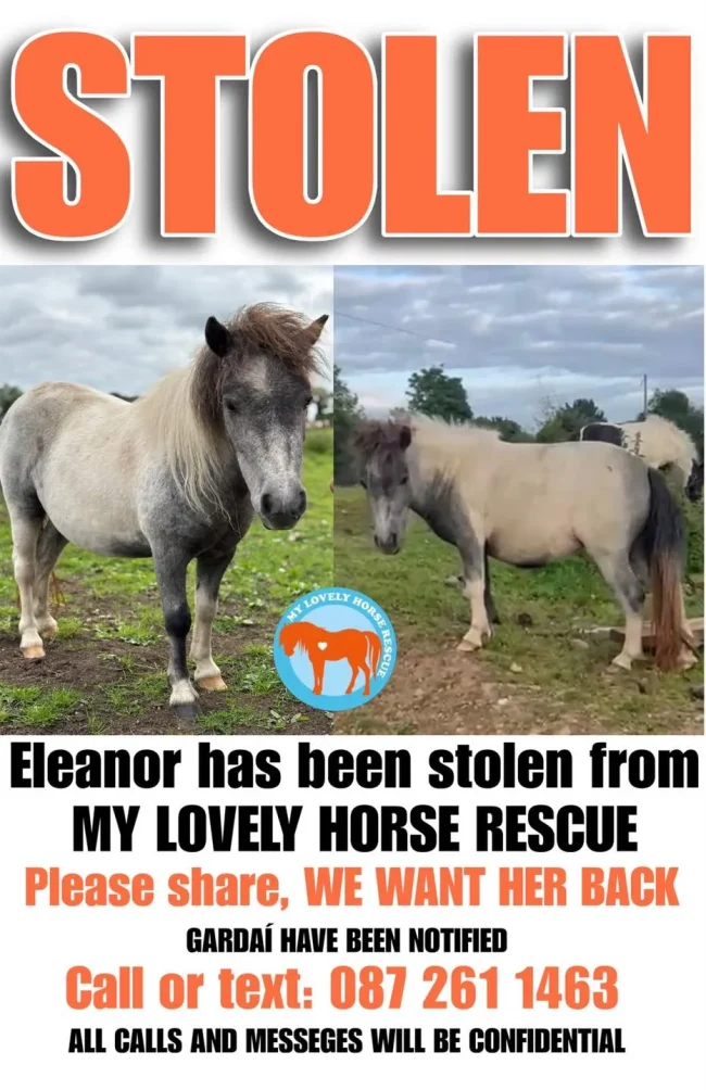 My Lovely Horse Rescue - Stolen Pony Appeal.