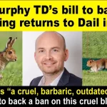 Paul Murphy TD. Live Hare Coursing Bill.
