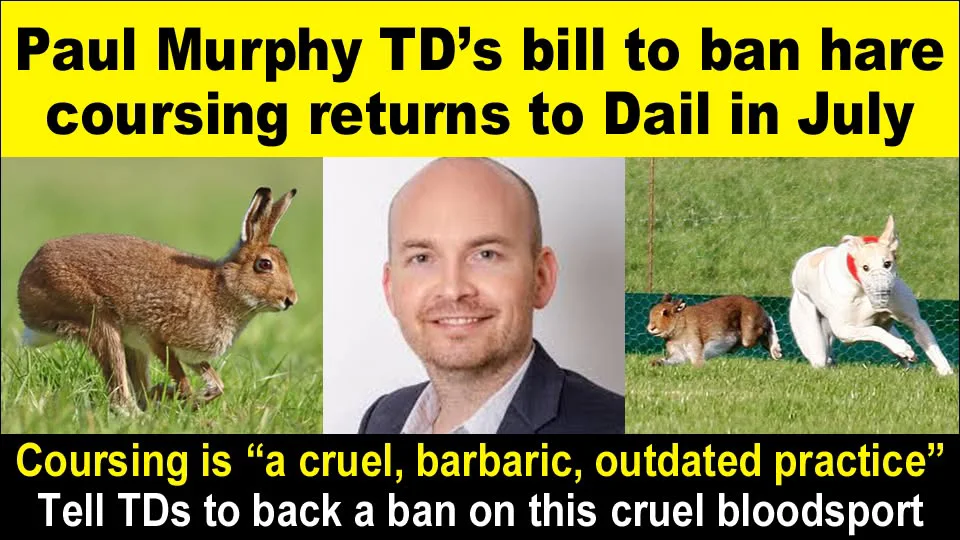 Paul Murphy TD. Live Hare Coursing Bill.