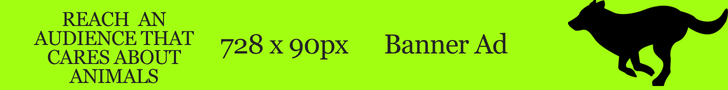 Banner AD Space on Animal News Ireland. Banner Ads Space Ireland.