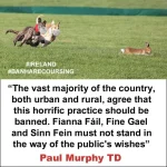 Hare Coursing in Ireland. Irish Politicians.