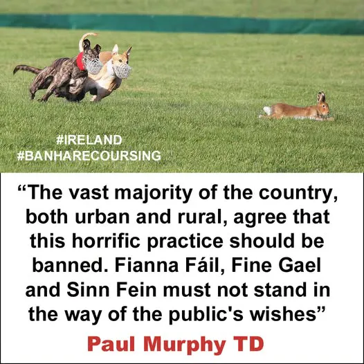 Hare Coursing in Ireland. Irish Politicians.