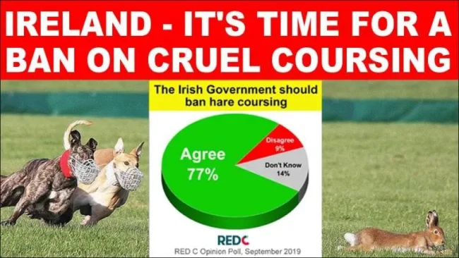 Opinon Poll on Hare Coursing. The Animal Health and Welfare.