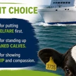 Brittany Ferries Ends Live Animal Transportation from Ireland.
