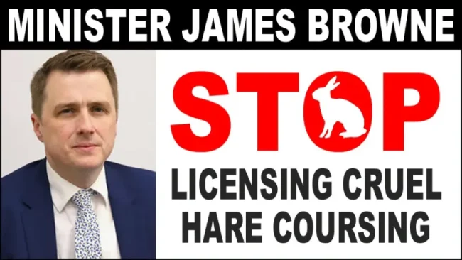 Ban Hare Coursing Ireland. DAFM veterinary inspectors.