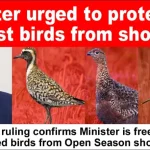 Heritage Minister James Browne.