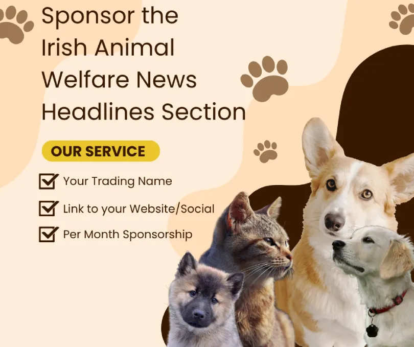 Animal welfare sponsorship on Animal News Ireland