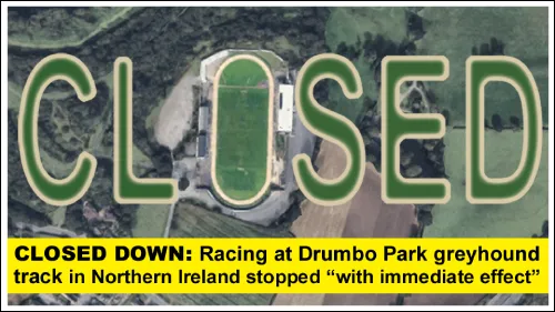 Drumbo Park Greyhound Track Closure.