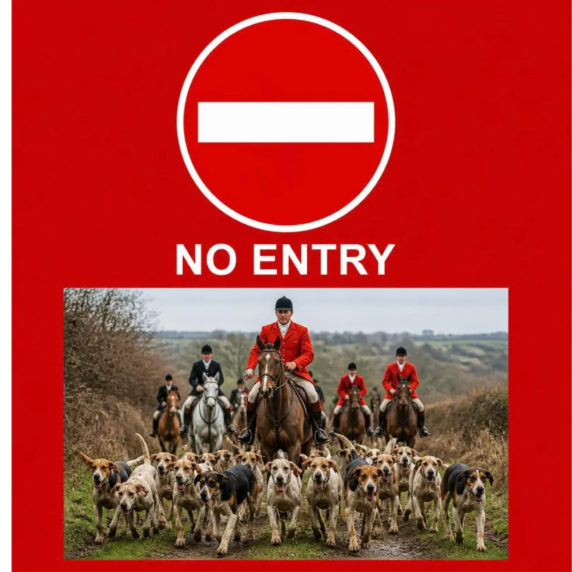 Hunting pack of hounds. Hunts Not Welcome on Private Property.