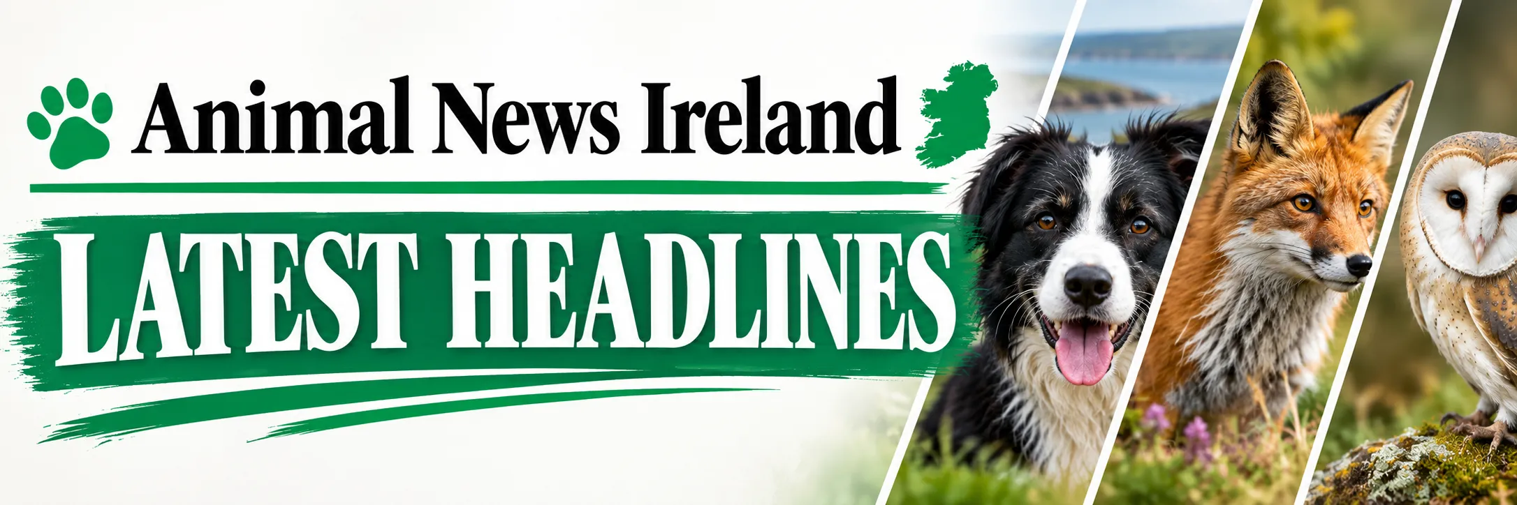 Animal News Ireland Latest Headllines. Animal Welfare News Ireland.