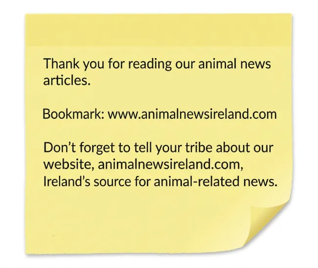 Bookmark: www.animalnewsireland.com.