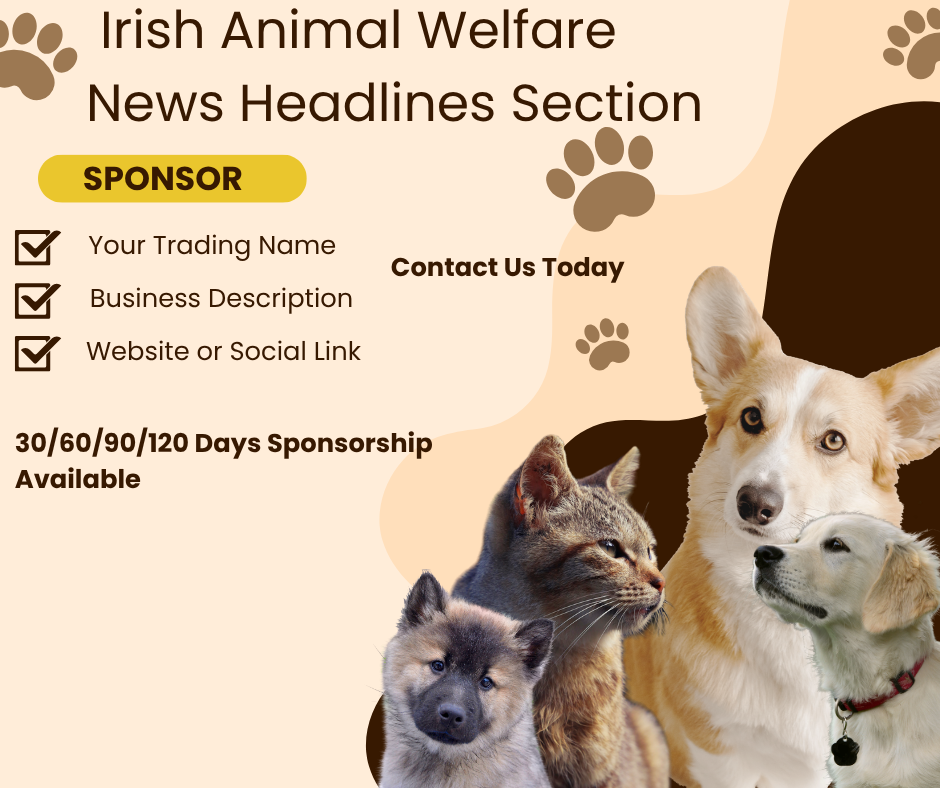 Animal welfare sponsorship on Animal News Ireland.
