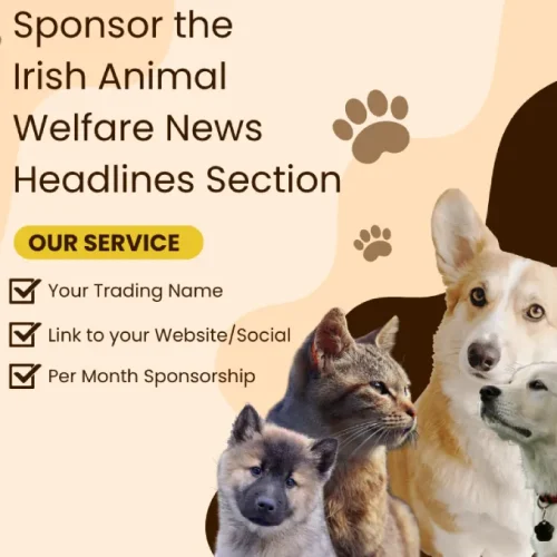 Animal welfare sponsorship on Animal News Ireland